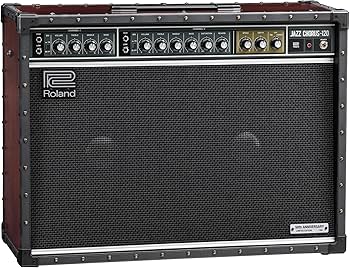 Amazon.com: Roland JC-120 Jazz Chorus 2 x 12-inch 120-watt Stereo